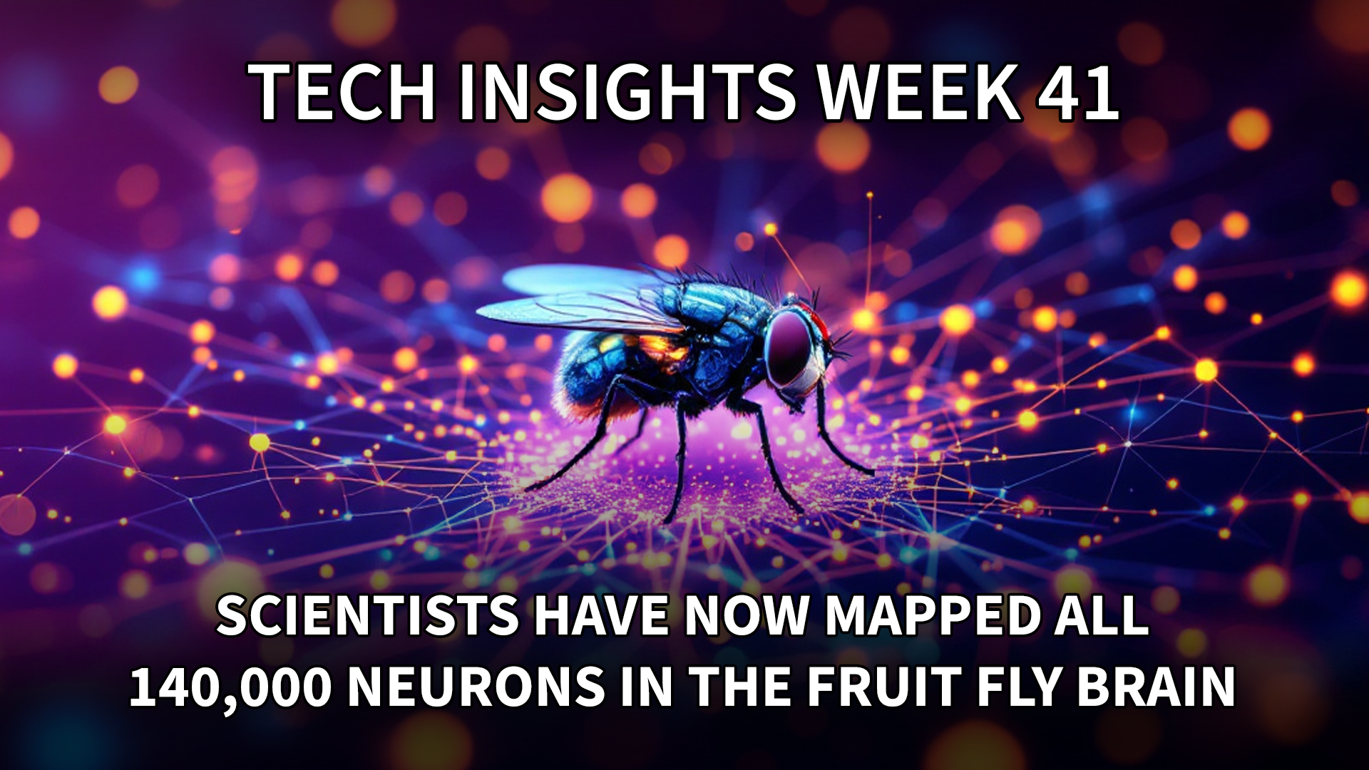 Tech Insights 2024 Week 41